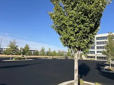 Freshly sealed parking lot.